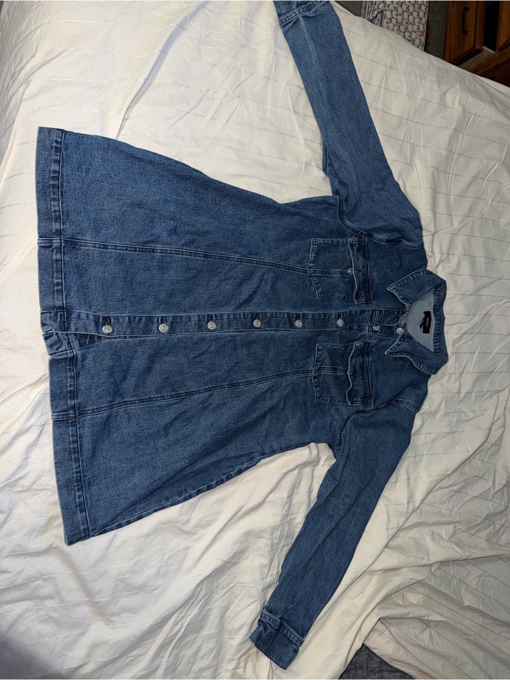 Blue Denim Button-Front Women's dress